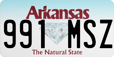 AR license plate 991MSZ