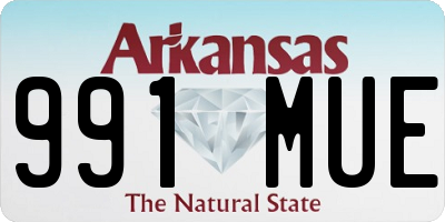 AR license plate 991MUE