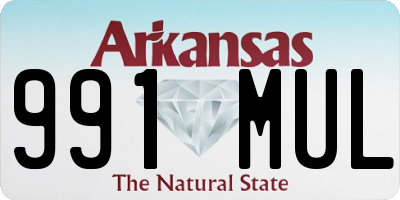 AR license plate 991MUL