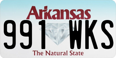 AR license plate 991WKS