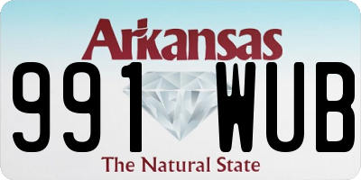 AR license plate 991WUB