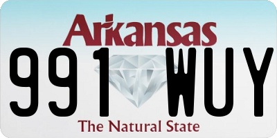 AR license plate 991WUY