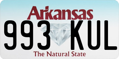 AR license plate 993KUL