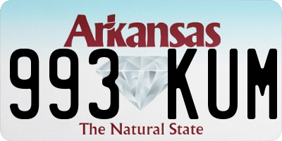 AR license plate 993KUM