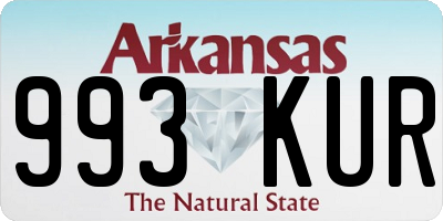 AR license plate 993KUR