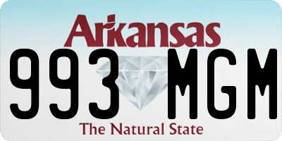 AR license plate 993MGM