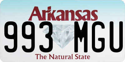 AR license plate 993MGU