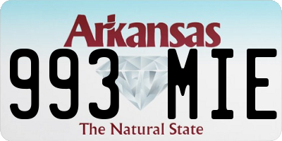 AR license plate 993MIE