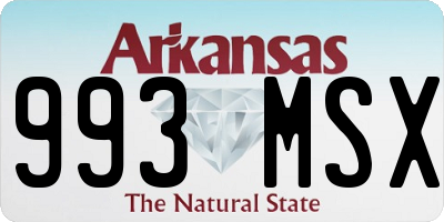 AR license plate 993MSX