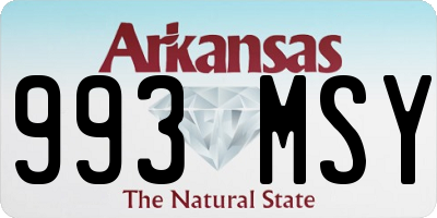 AR license plate 993MSY