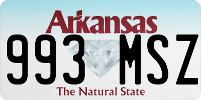 AR license plate 993MSZ