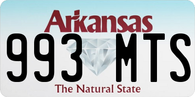 AR license plate 993MTS