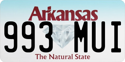 AR license plate 993MUI