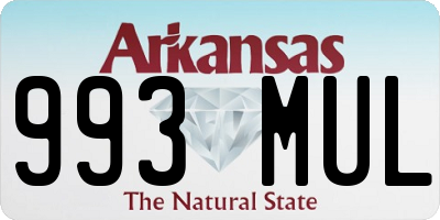 AR license plate 993MUL
