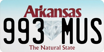 AR license plate 993MUS
