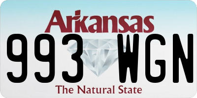 AR license plate 993WGN