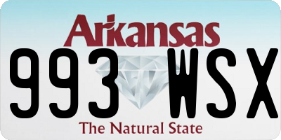 AR license plate 993WSX