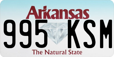 AR license plate 995KSM