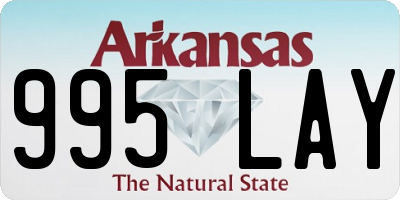 AR license plate 995LAY