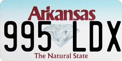 AR license plate 995LDX