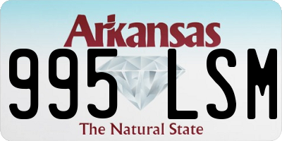 AR license plate 995LSM