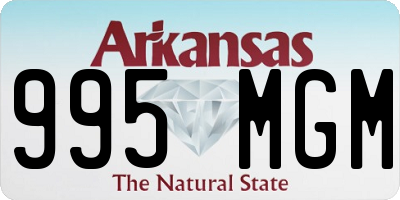 AR license plate 995MGM