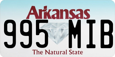 AR license plate 995MIB
