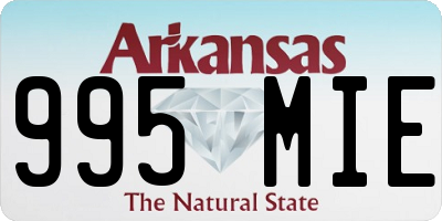AR license plate 995MIE