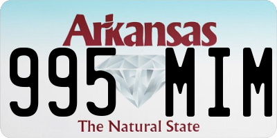 AR license plate 995MIM