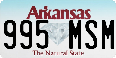 AR license plate 995MSM