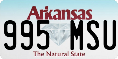 AR license plate 995MSU