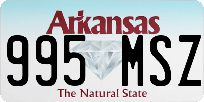 AR license plate 995MSZ