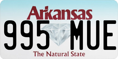 AR license plate 995MUE