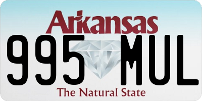 AR license plate 995MUL