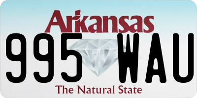 AR license plate 995WAU