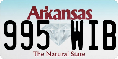 AR license plate 995WIB