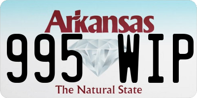 AR license plate 995WIP