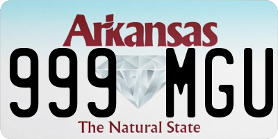AR license plate 999MGU