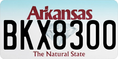 AR license plate BKX8300