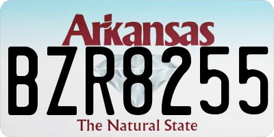 AR license plate BZR8255