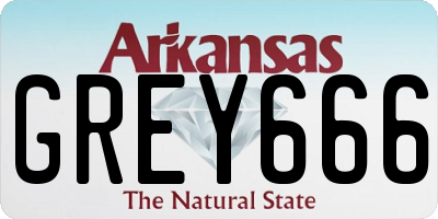 AR license plate GREY666