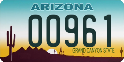 AZ license plate 00961