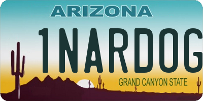 AZ license plate 1NARDOG