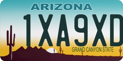 AZ license plate 1XA9XD