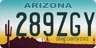 AZ license plate 289ZGY