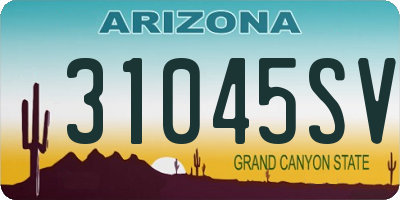 AZ license plate 31045SV