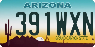 AZ license plate 391WXN