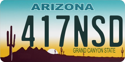 AZ license plate 417NSD