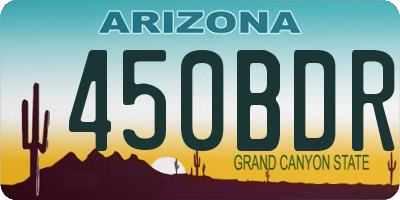 AZ license plate 450BDR