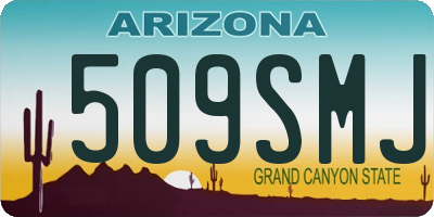 AZ license plate 509SMJ